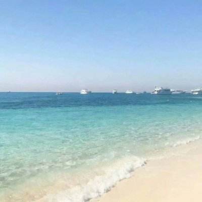 足球赌注软件手机app下载