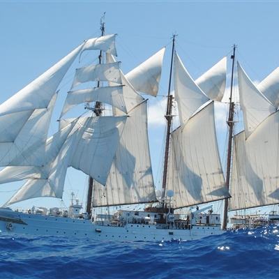 竞猜足球app下载手机版